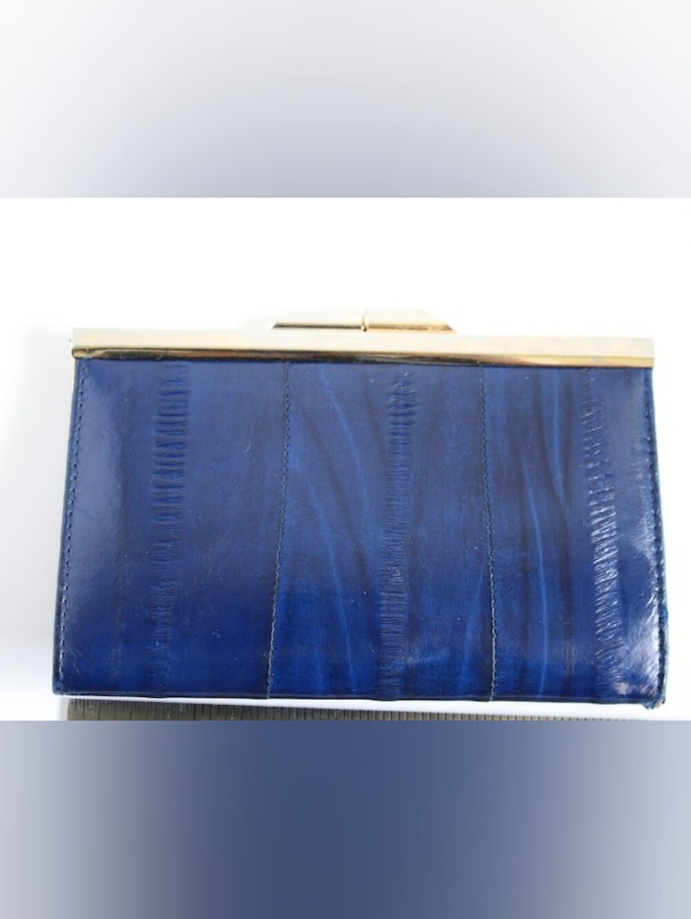 Vintage Eel Skin Coin Purse: Indigo Blue & Gold Tone Closure